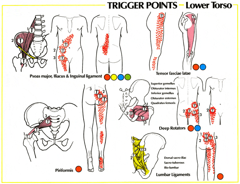 lower torso trigger points used in deep tissue massage